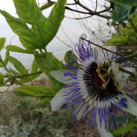 Crystal Blue Apartment